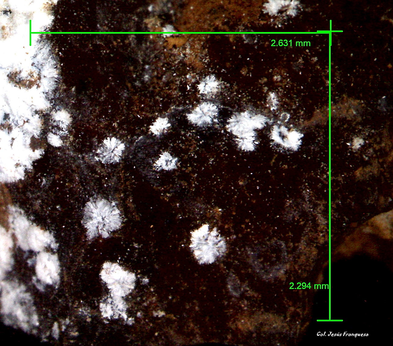 Hidrozincita.
2´631 x 2´294 mm.
(Autor: Jesus Franquesa Baucells)