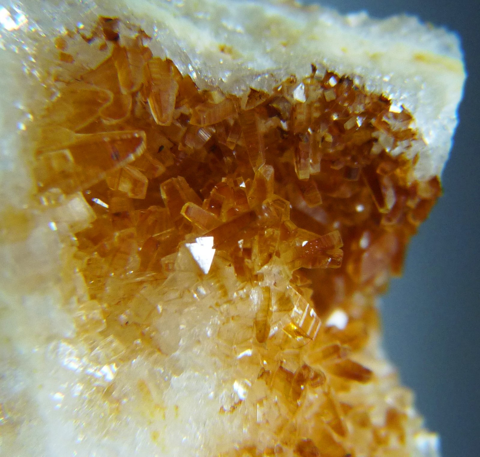 Thomsenolita y Hidrokenoralstonita
35x35 mm
(Autor: Jesus Franquesa Baucells)