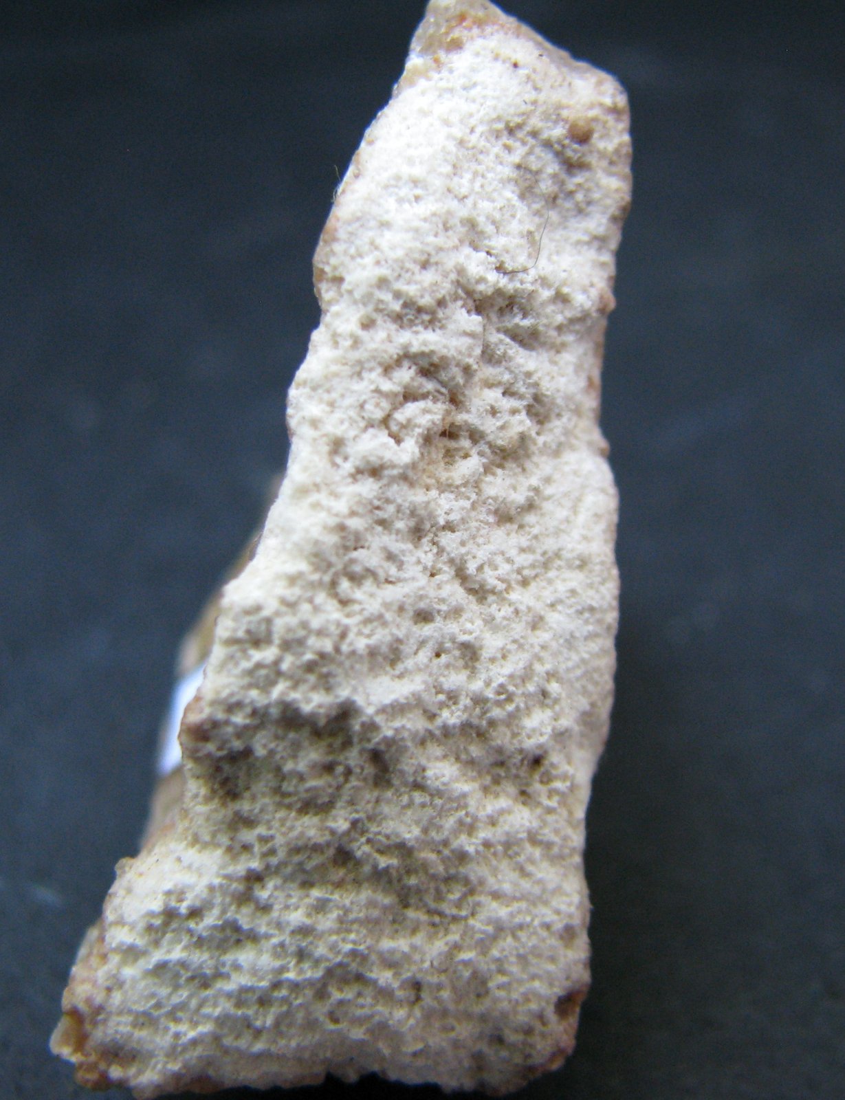 Hidromagnesita
45 x 20 x 35 mm
(Autor: José Luis Zamora)