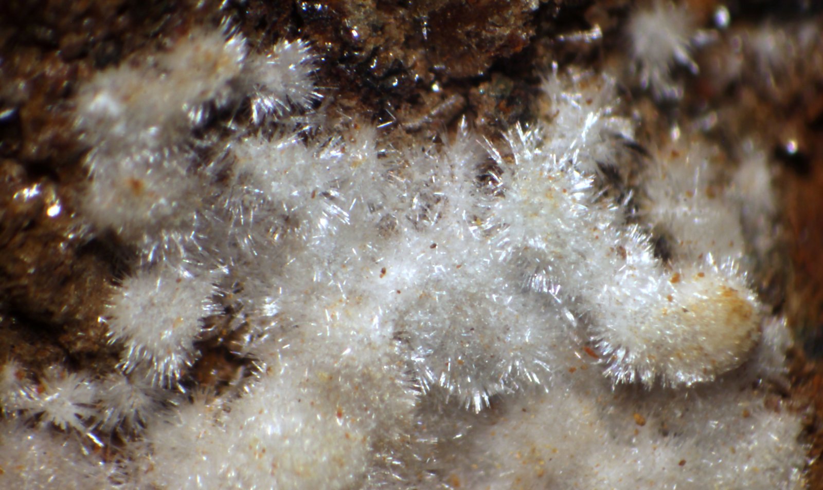 Hidroxilapatito
31 x 26 x 25 mm.
(Autor: José Luis Zamora)