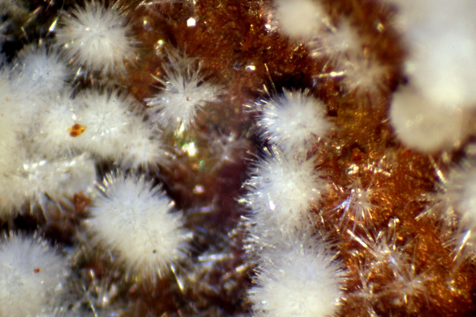 Hidroxilapatito
Detalle
(Autor: José Luis Zamora)