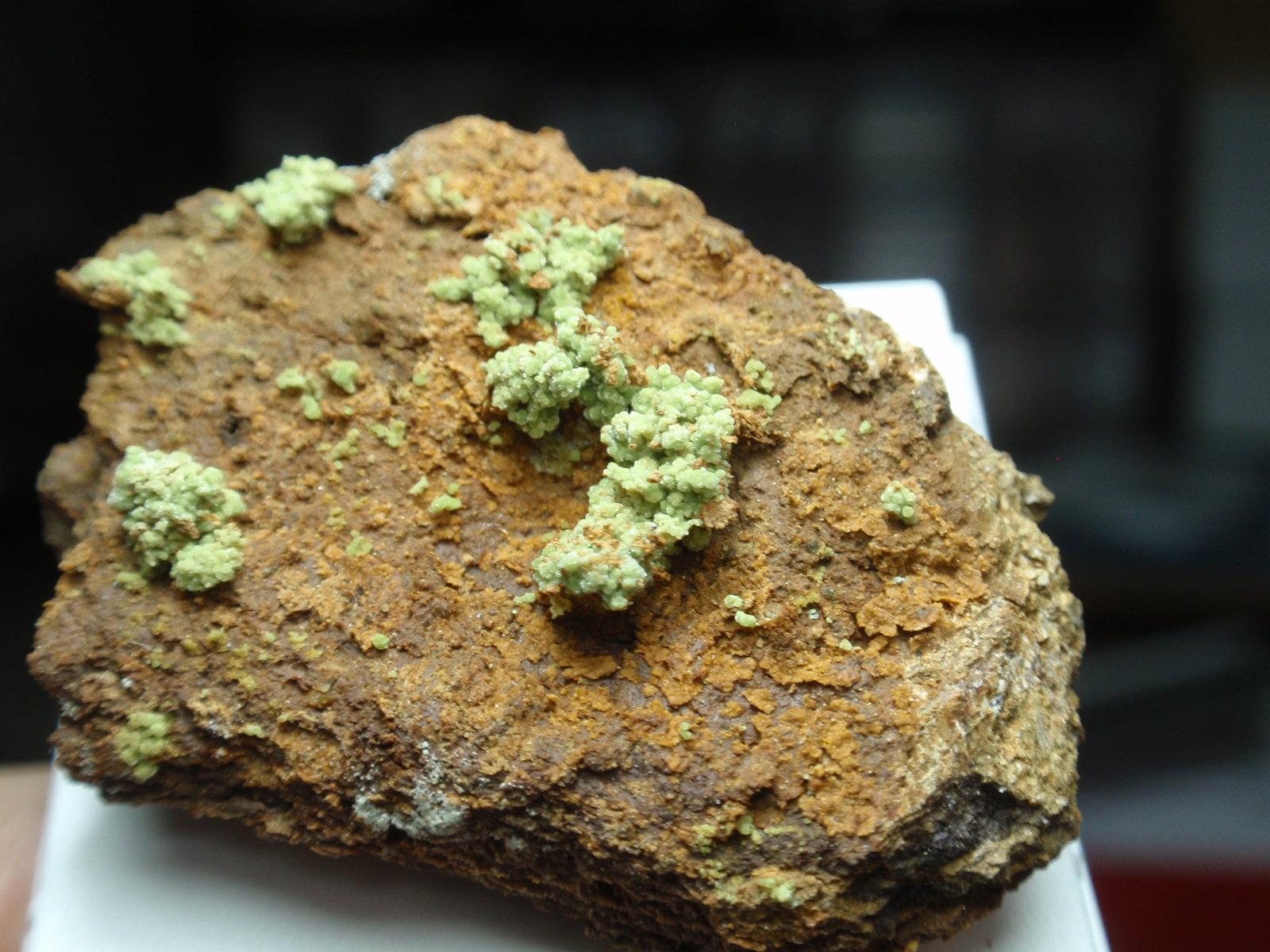 Hilarionita
35x30 mm
(Autor: Ignacio)