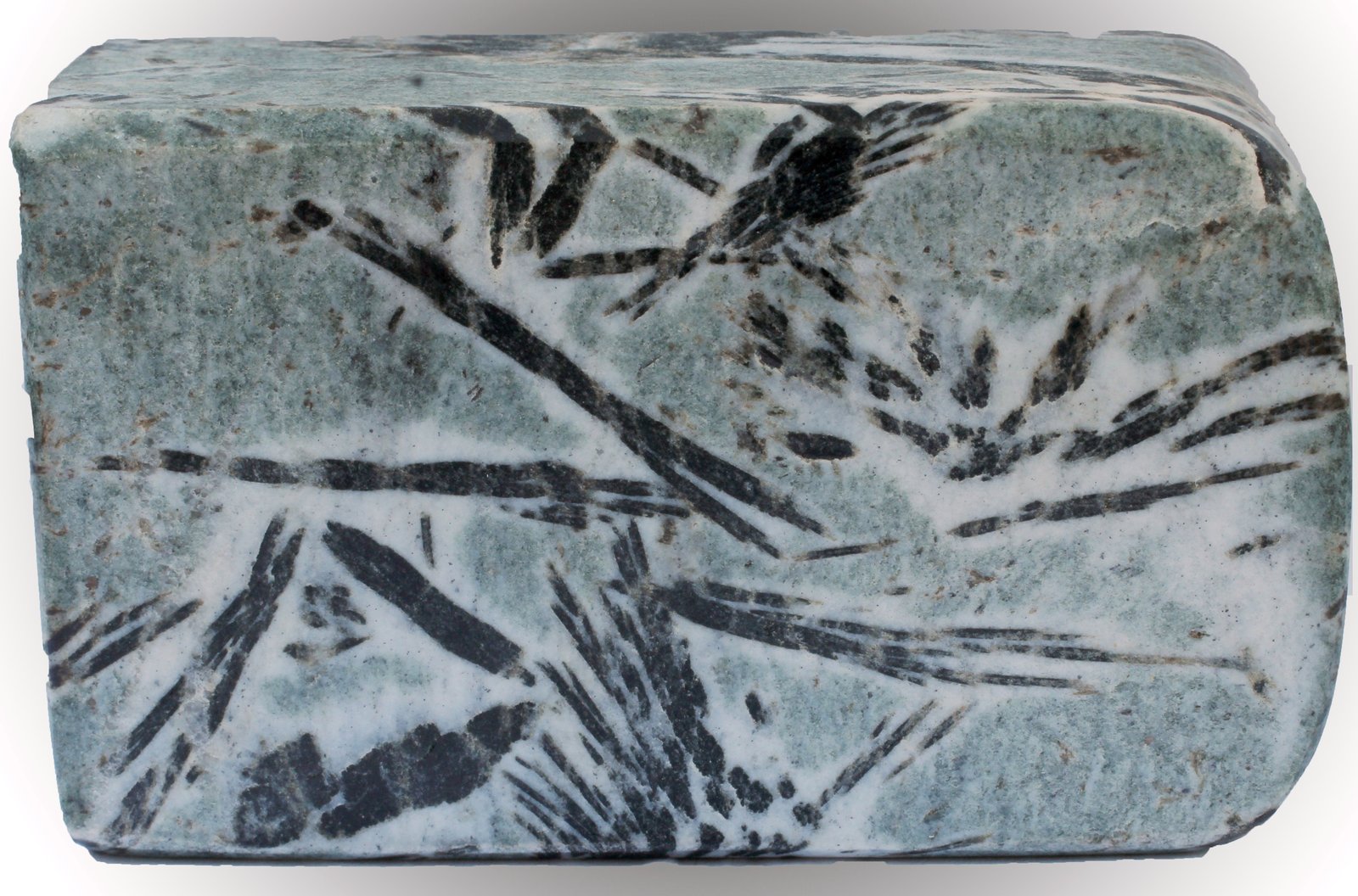 Ferro-hornblenda
70 x 40 x 20 mm
(Autor: José Luis Zamora)