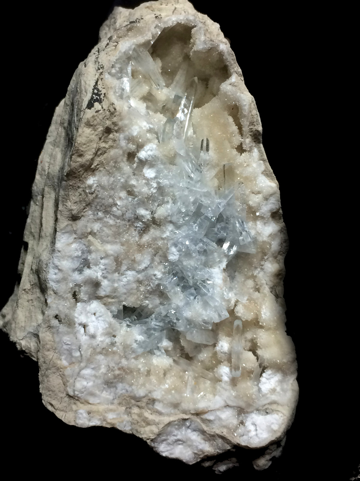 Celestina
7x5cm
(Autor: Obsi)