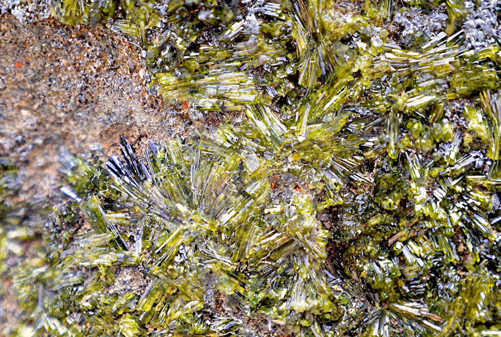 Epidota
Campo de visión de 10 mm
(Autor: Antonio Carmona)