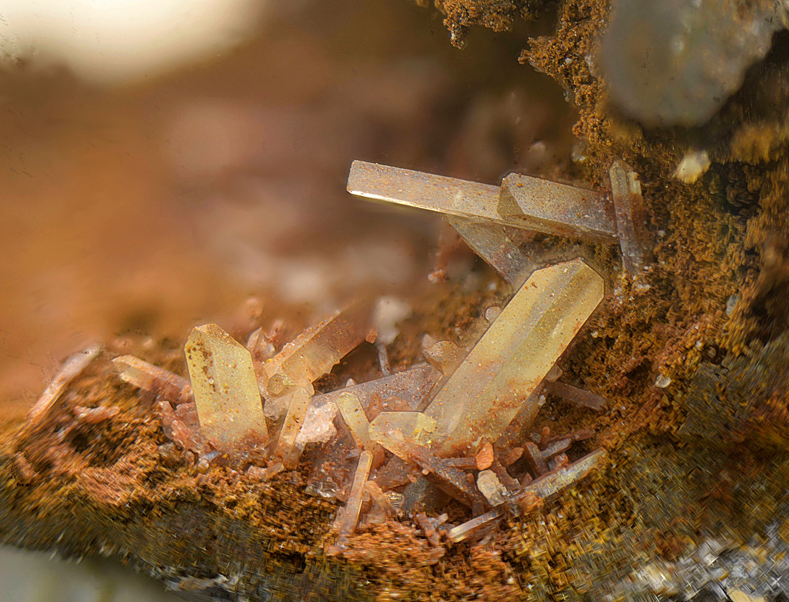 Anglesita
Campo de visión de 3 mm.
(Autor: Antonio Carmona)