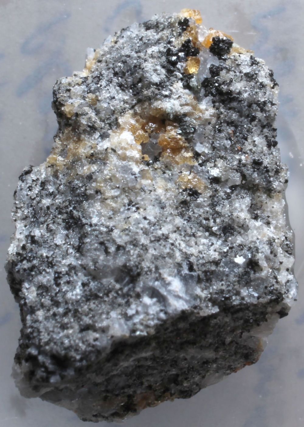 Humita
Micro
(Autor: José Luis Zamora)