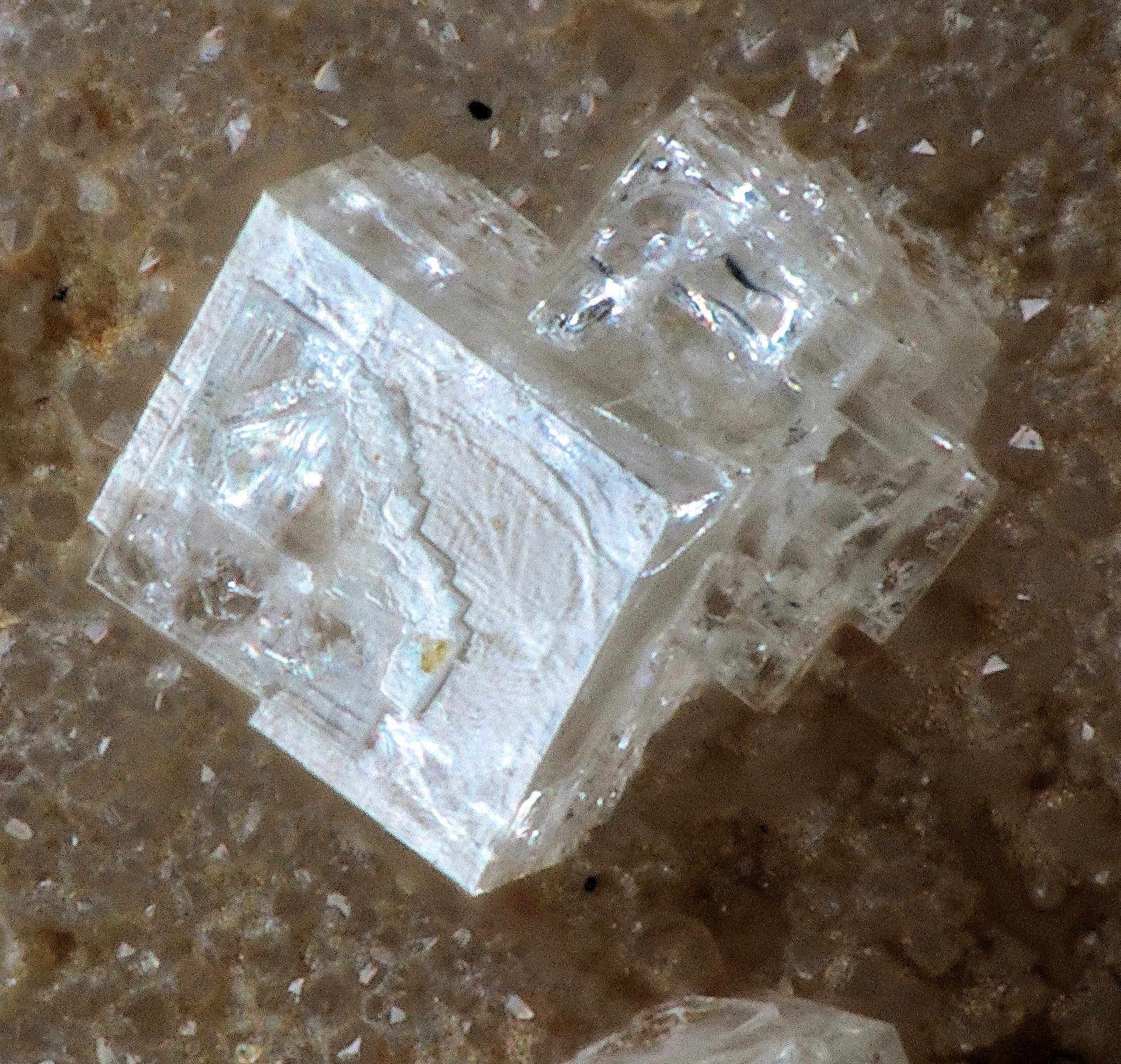 Hydroniumpharmacoalumita
0.4 mm
(Autor: Jordi Fabre)