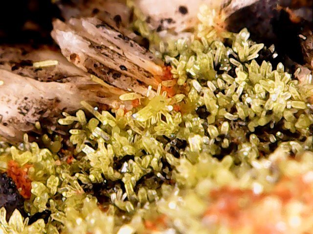 Mimetita
1 cm
(Autor: Obsi)