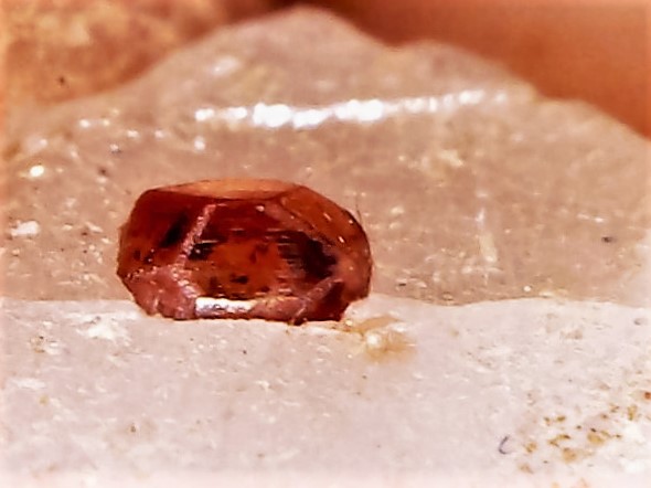 Granate
1cm
(Autor: Obsi)