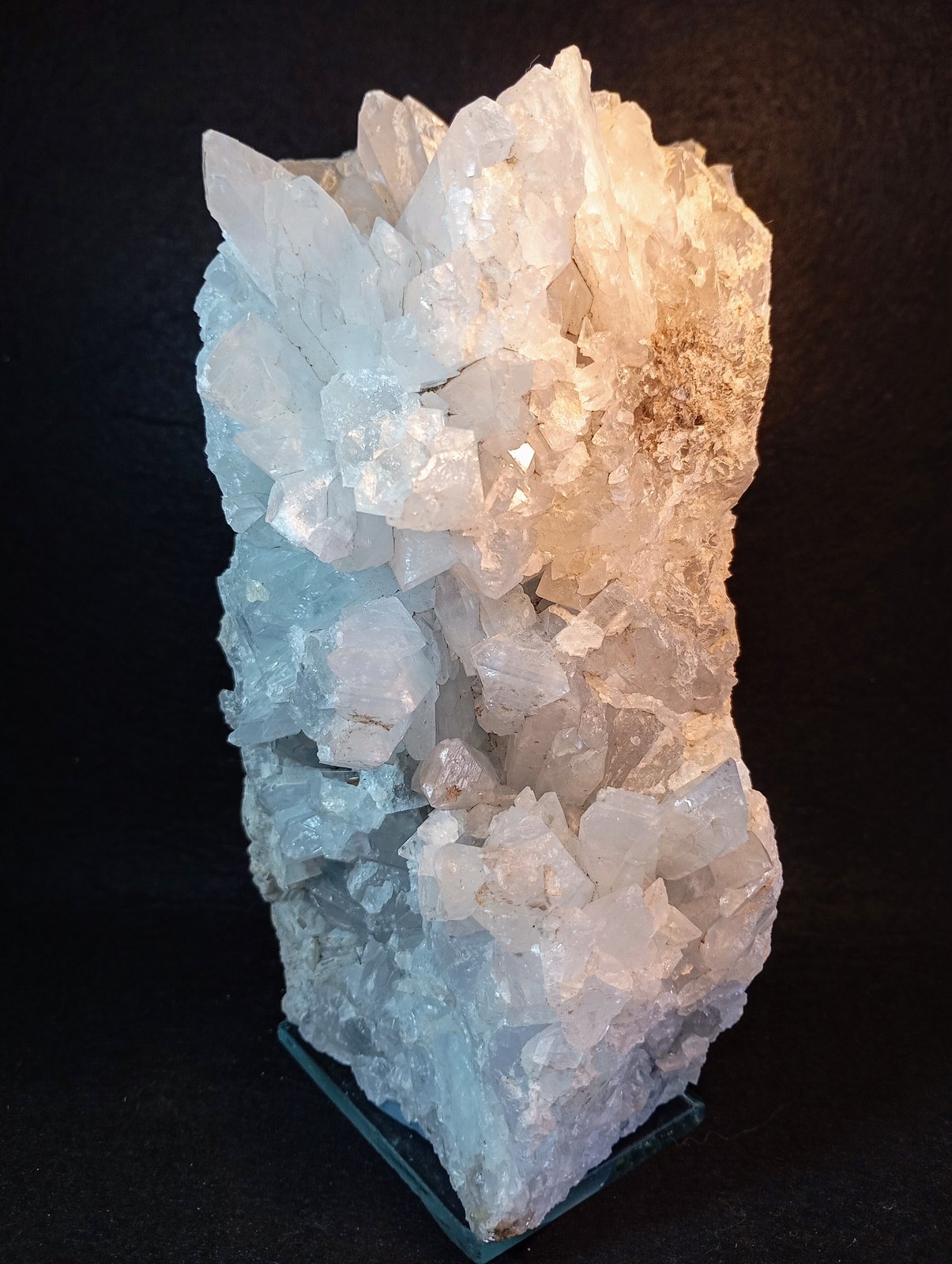 Celestina
16 x 10 cm.
(Autor: Felipe Abolafia)