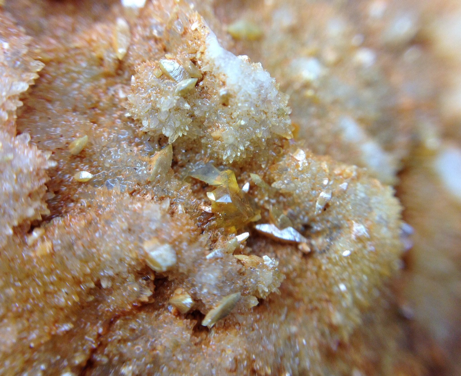 Wulfenita
Vista 4x4cm
(Autor: Emilio Téllez)