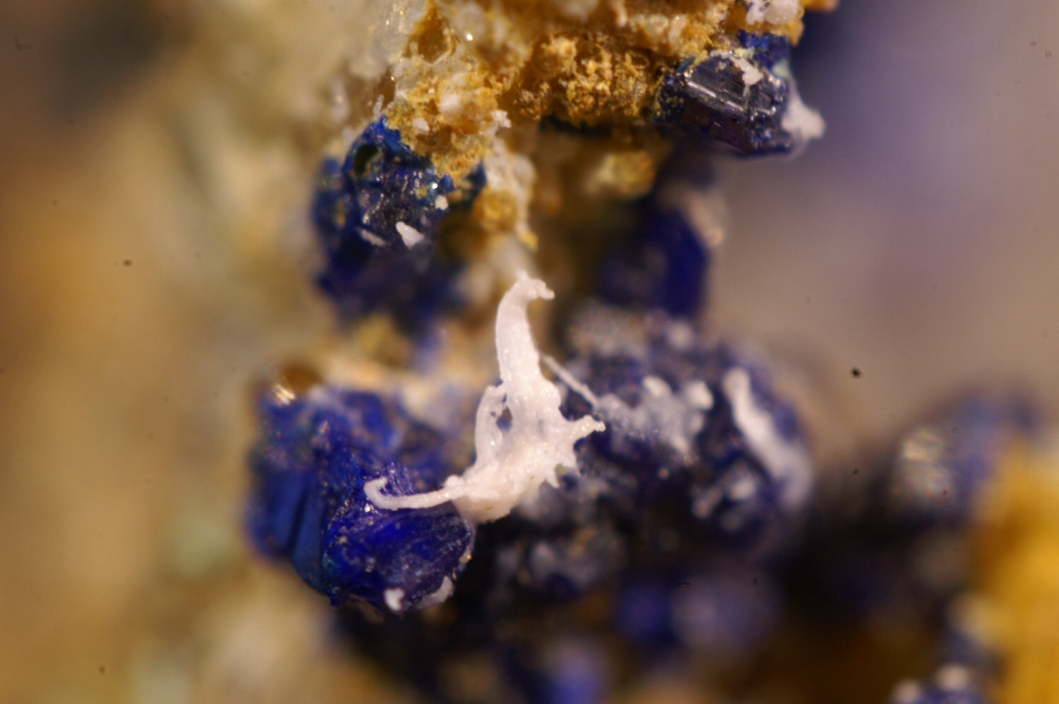 Azurita y yeso
0'5 cm. ancho de campo
(Autor: chatero15)