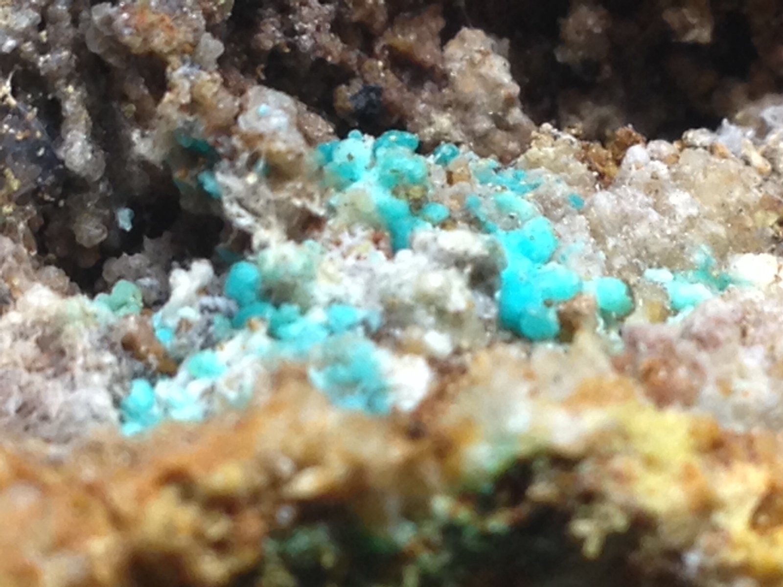 Auricalcita
2 cm. ancho de campo aproximadamente
(Autor: Obsi)
