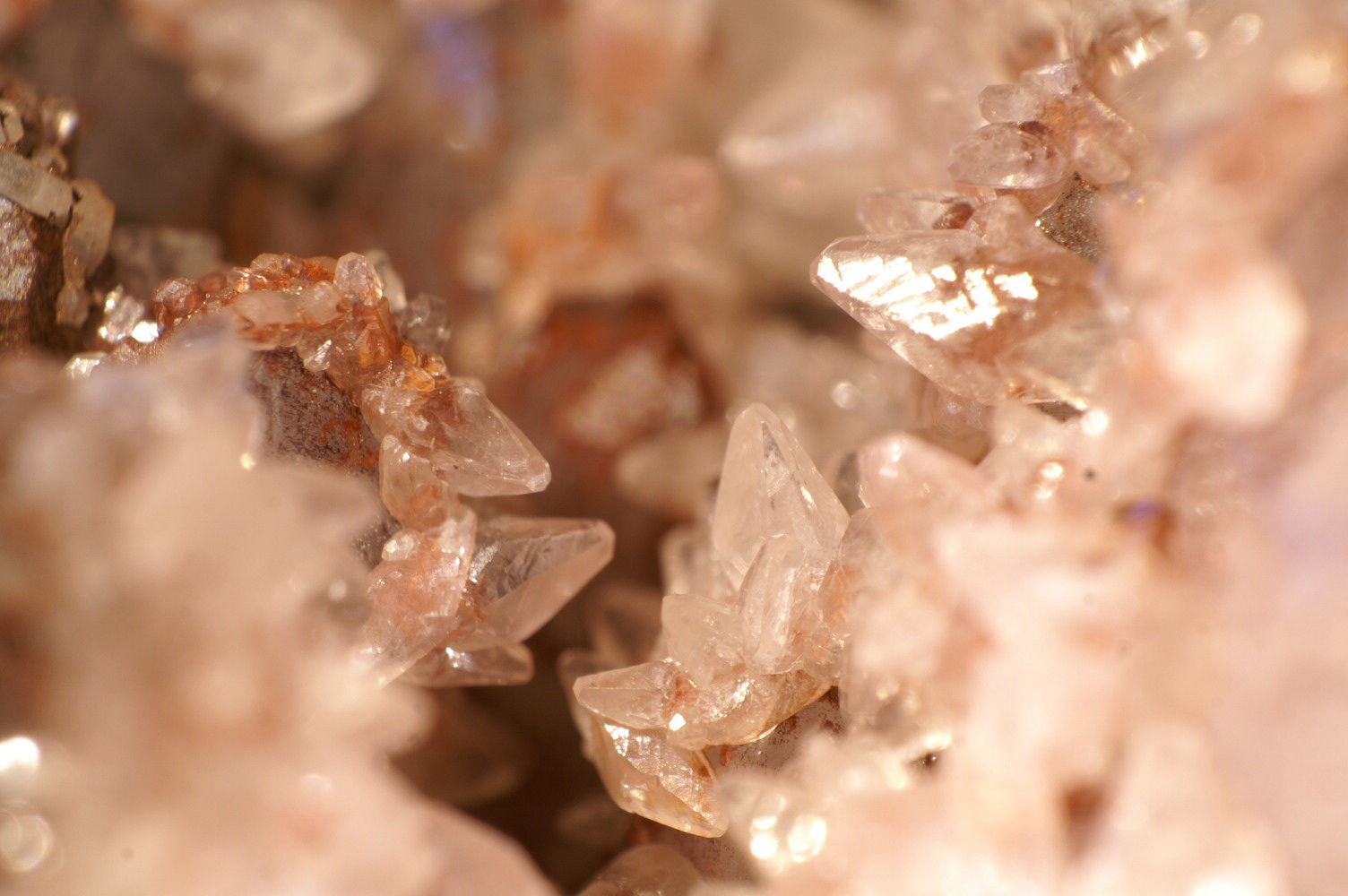 Calcita
1 cm. ancho de campo
(Autor: chatero15)