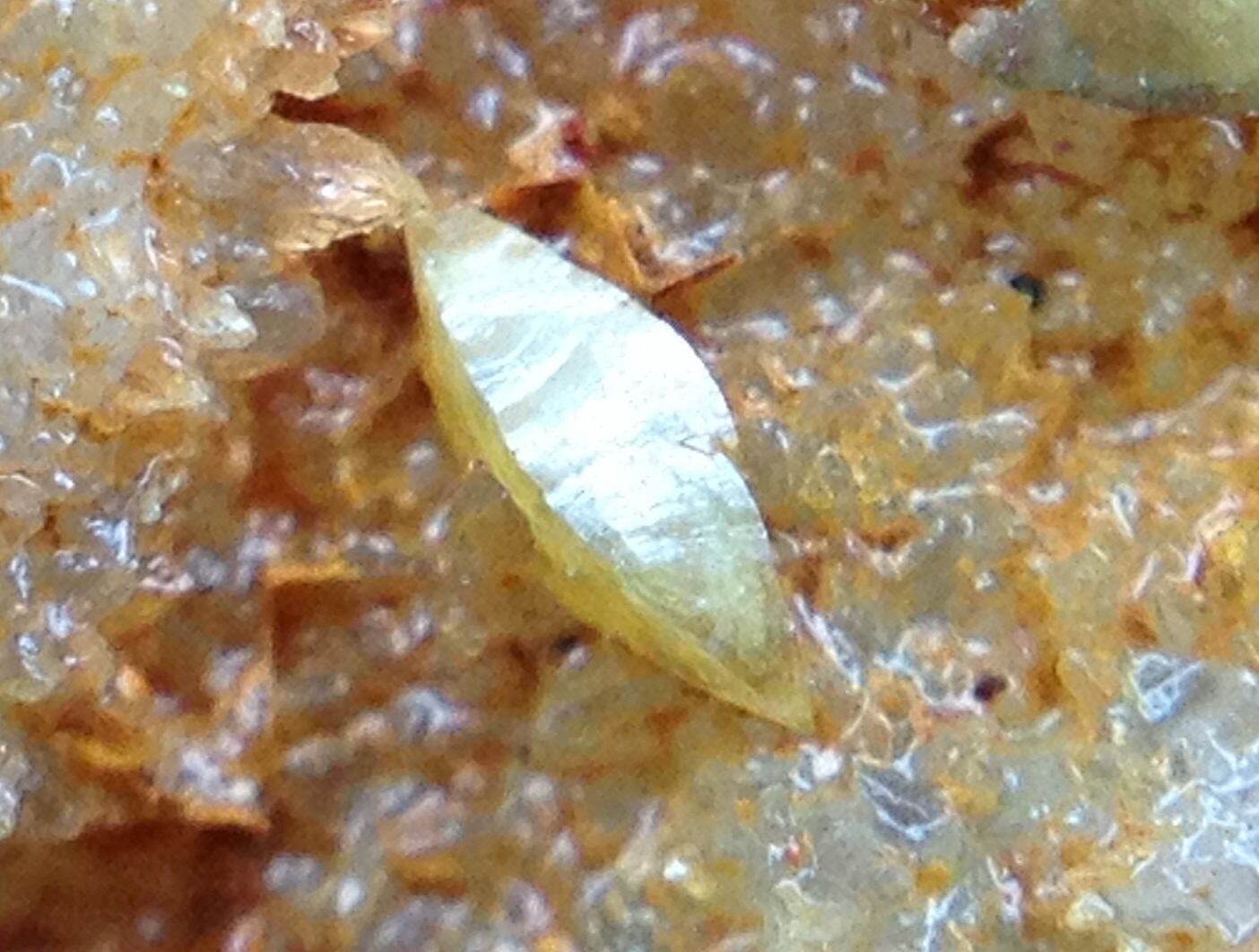 Wulfenita
Cristal 1,5x1mm
(Autor: Emilio Téllez)