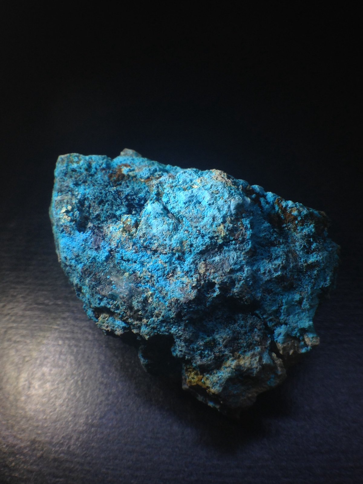 Lavendulana
6x4 cm
(Autor: Obsi)