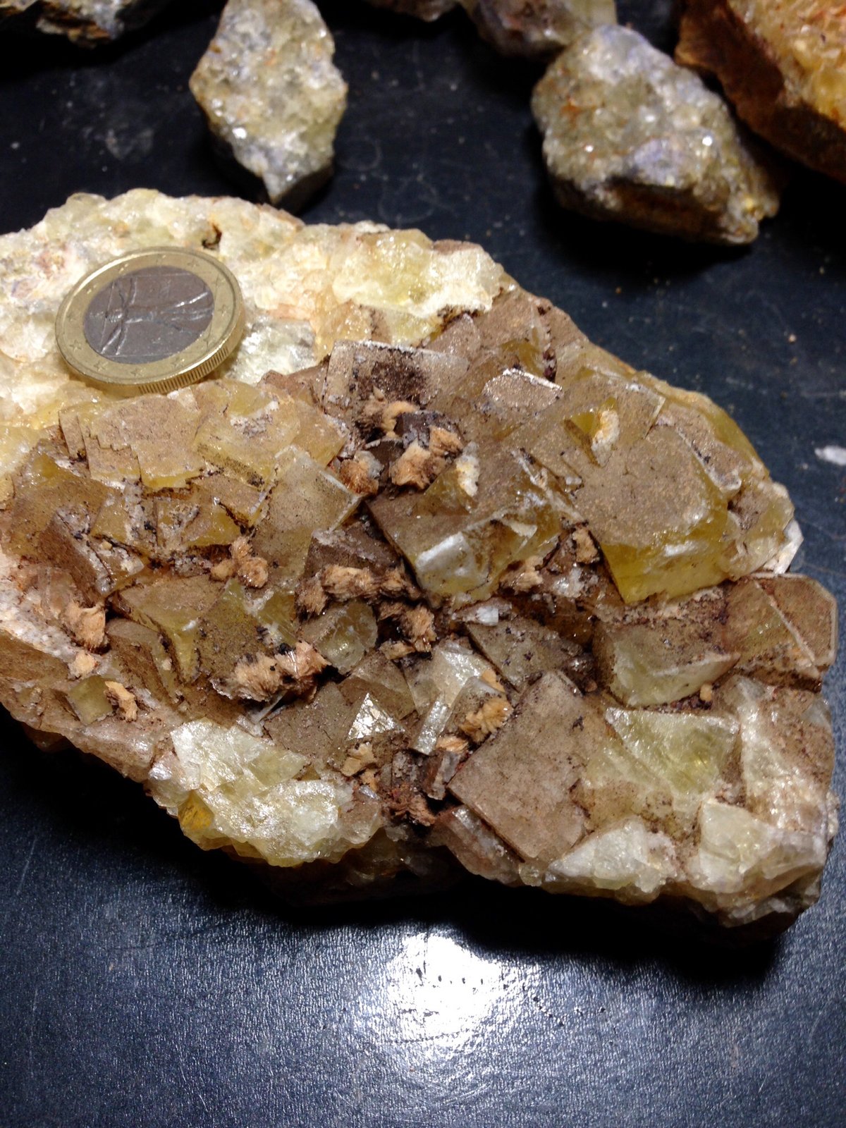 Fluorita
9x5 cm
(Autor: Obsi)