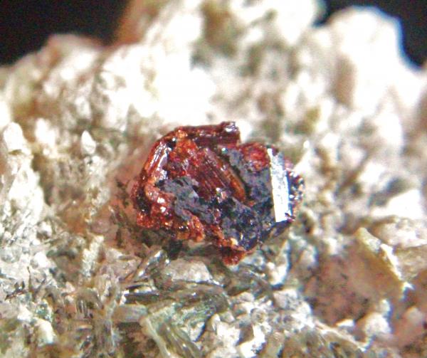 Rutilo
Cristal 6 mm.
(Autor: Nieves)
