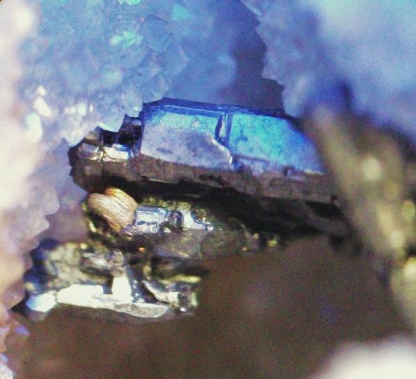 Pirargirita y Plata nativa
Cristal pirargirita 8 mm. y plata nativa 3.mm.
(Autor: Nieves)