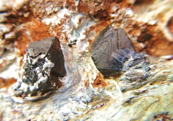 Magnetita
Cristales 1 cm.
(Autor: Nieves)
