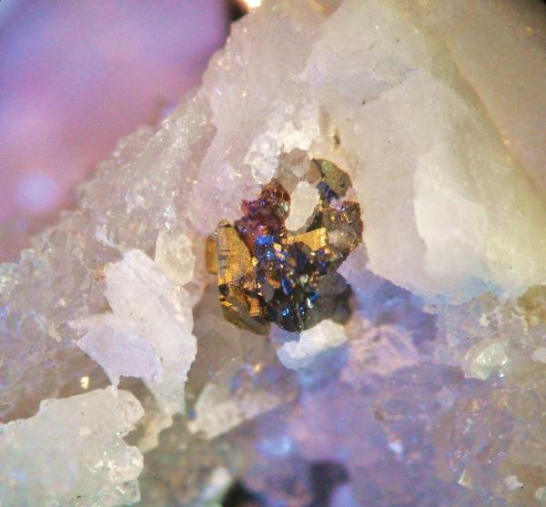Pirargirita, Calcopirita y Estefanita (Stephanita)
Conjunto de cristales 4mm.
(Autor: Nieves)