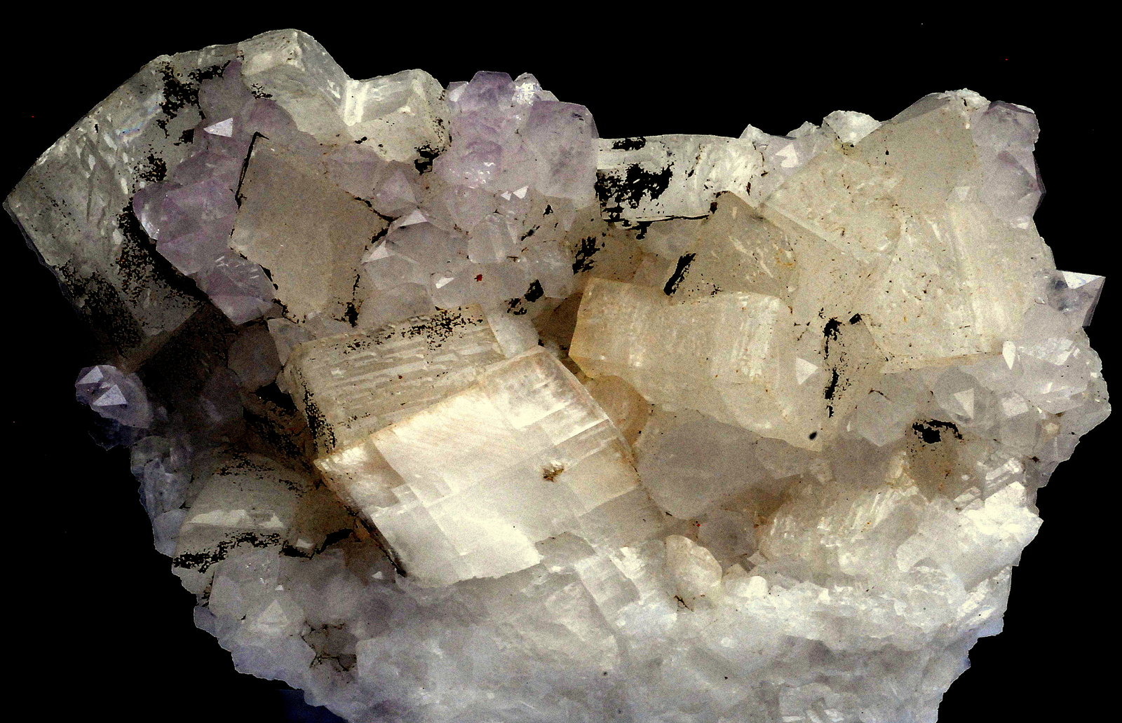 Cuarzo (variedad amatista), Calcita y Pirita
10,0 x 6,7 x 4,0 cm
(Autor: Martí Rafel)
