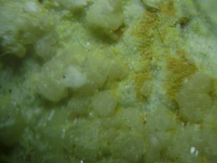 Piromorfita
Encuadre 1 x 1 cm.
(Autor: P. apita)