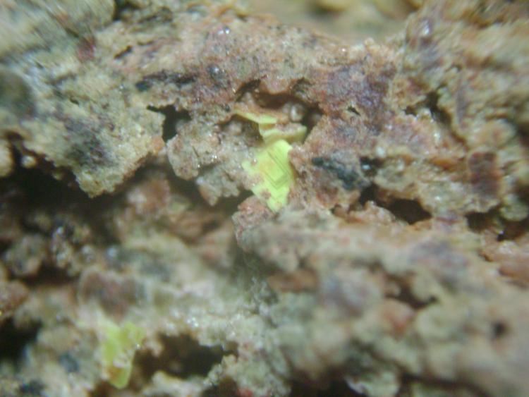 Autunita
2 X 2 mm
(Autor: P. apita)