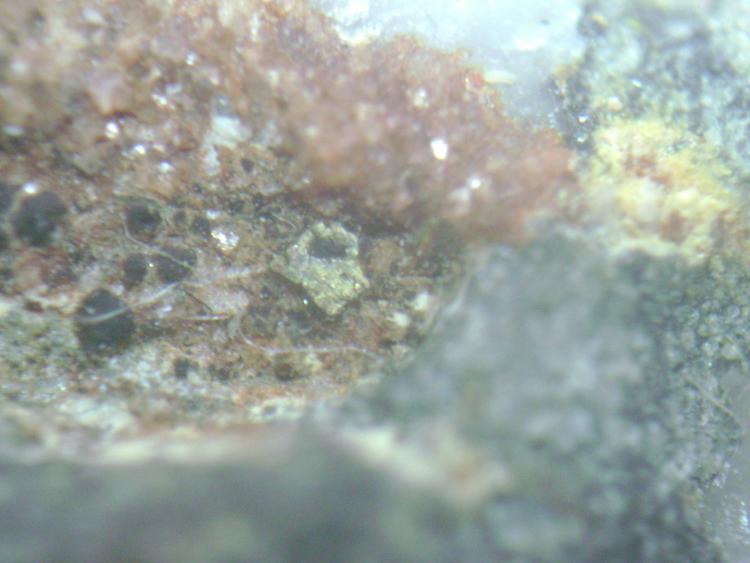 Dolomita y pirita micro
Cristal mayor de 3 o 4  mm.
(Autor: P. apita)
