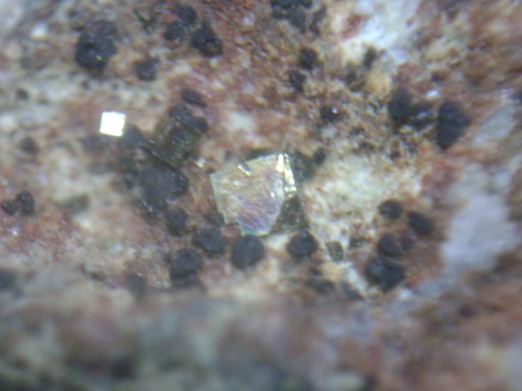Pirita
Cristal de 3 mm.
(Autor: P. apita)