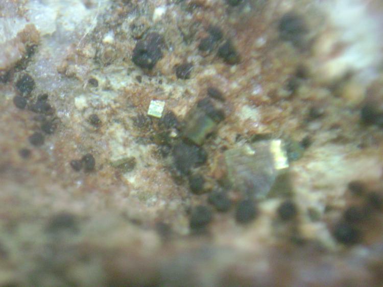 Pirita
cristal de 3 mm.
(Autor: P. apita)