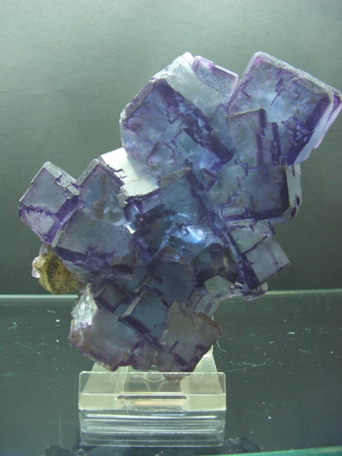 Fluorita
12x9 cm
(Autor: jaume.vilalta)