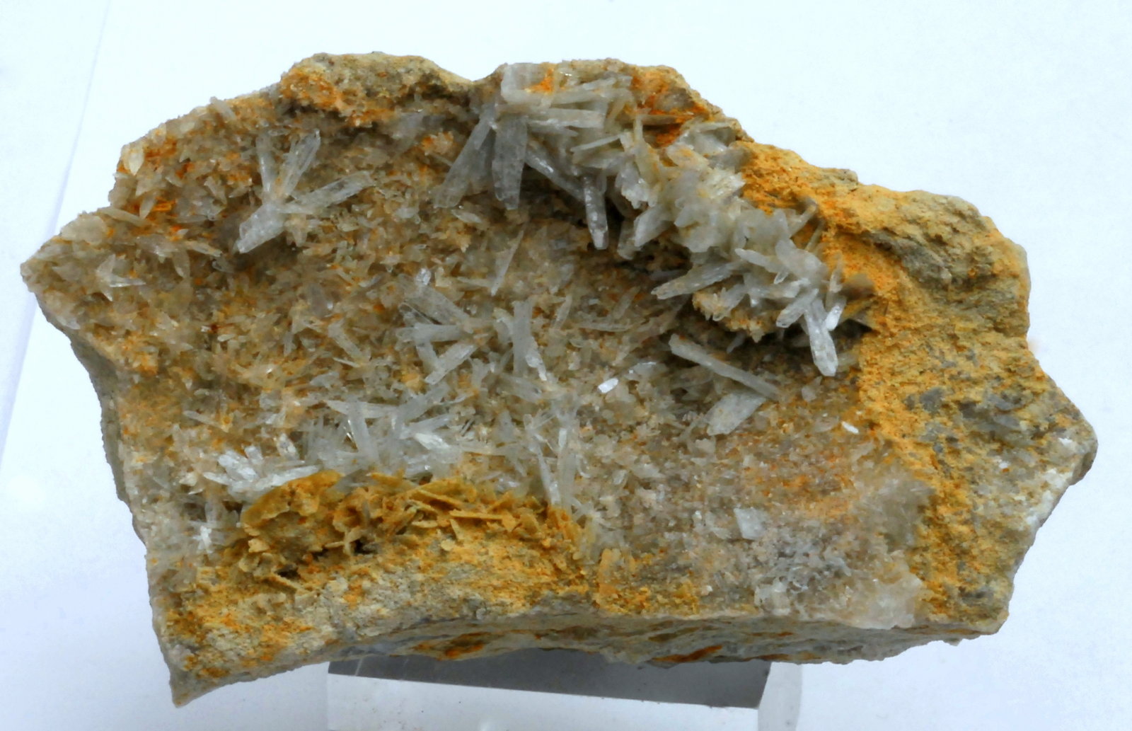(Autor: Martí Rafel)