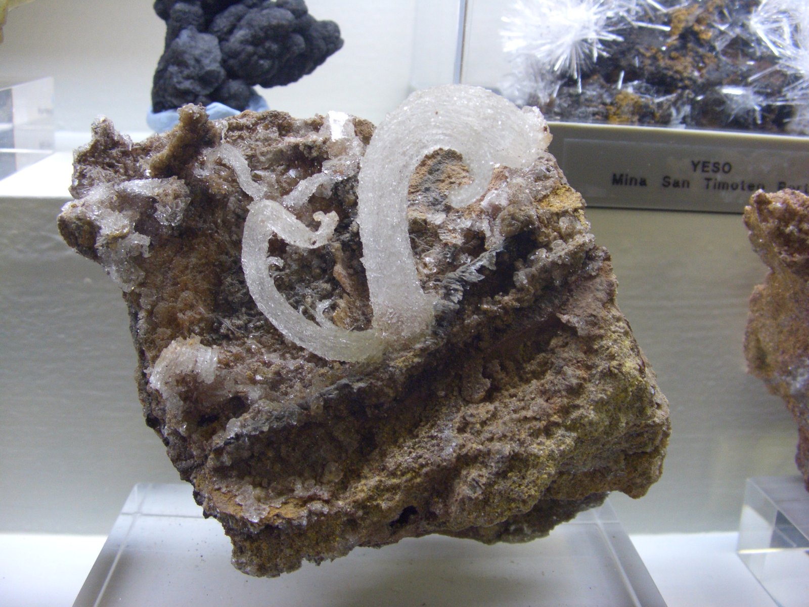Yeso
10x8 cm
(Autor: jaume.vilalta)