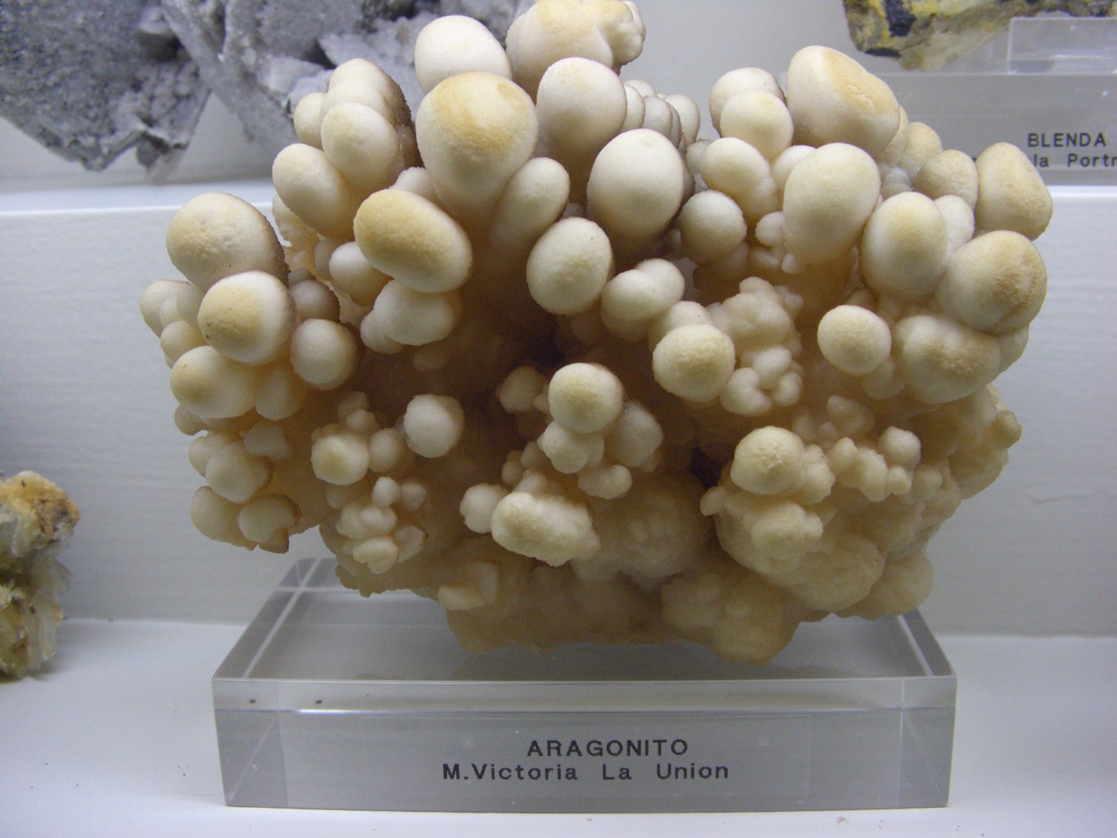 Aragonito
14x8x6 cm
(Autor: jaume.vilalta)