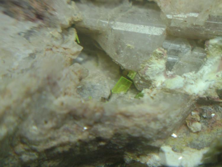 Autunita
cristal mayor 2 mm
(Autor: P. apita)