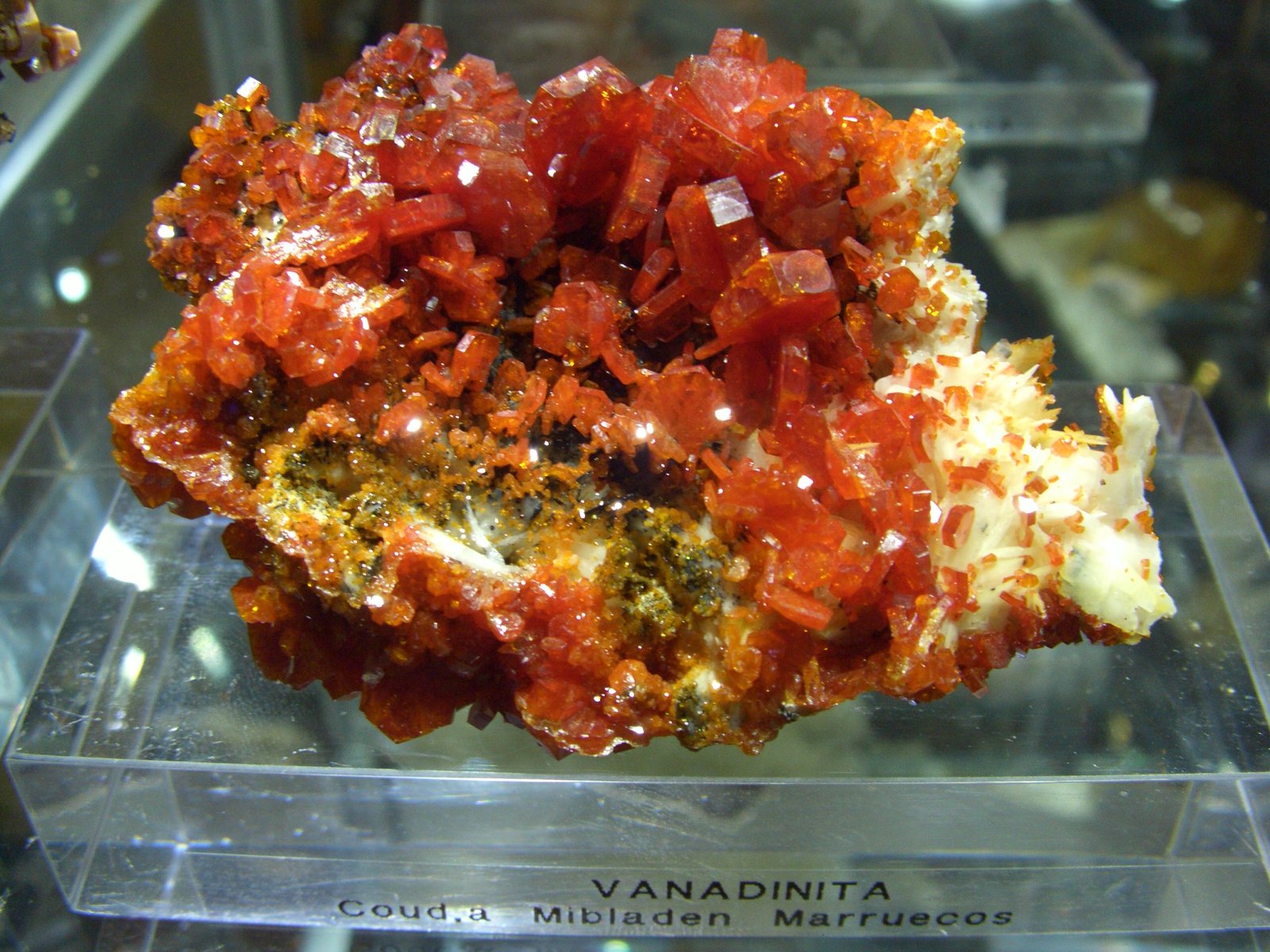 Vanadinita
9x6 cm
(Autor: jaume.vilalta)