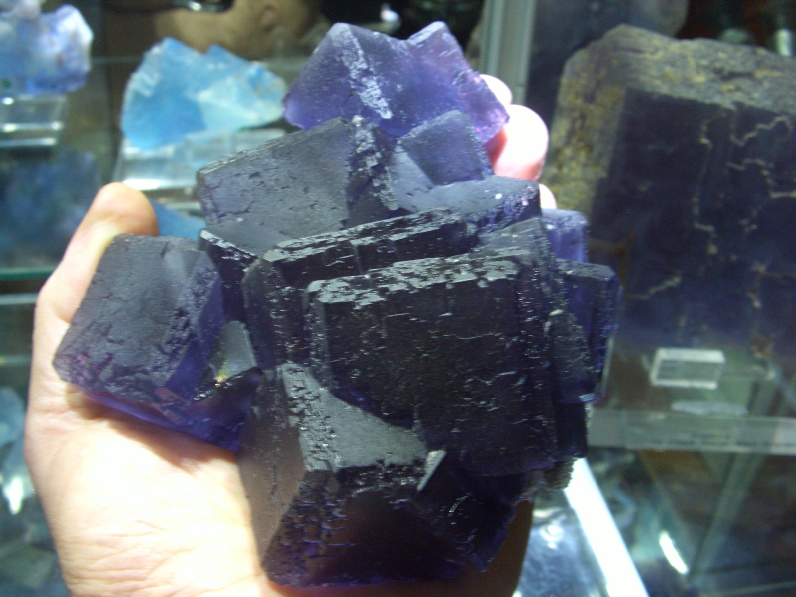 Fluorita
14x12x7 cm
(Autor: jaume.vilalta)