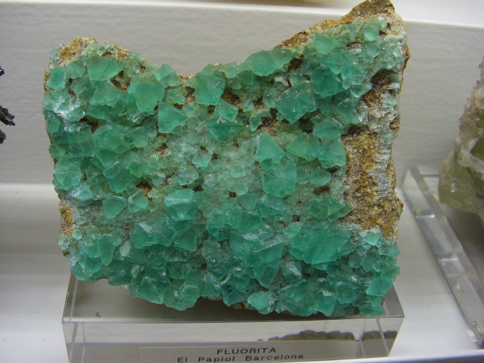 Fluorita
10x9 cm
(Autor: jaume.vilalta)