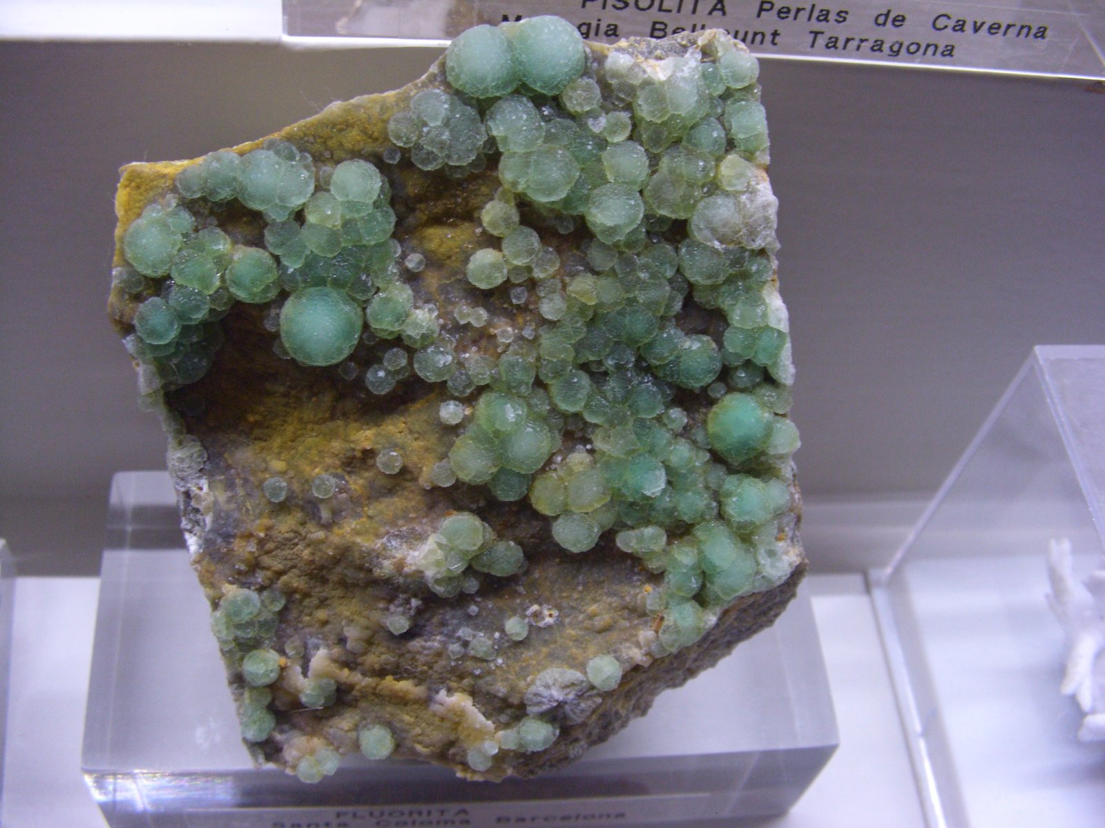 Fluorita
9x7cm
(Autor: jaume.vilalta)