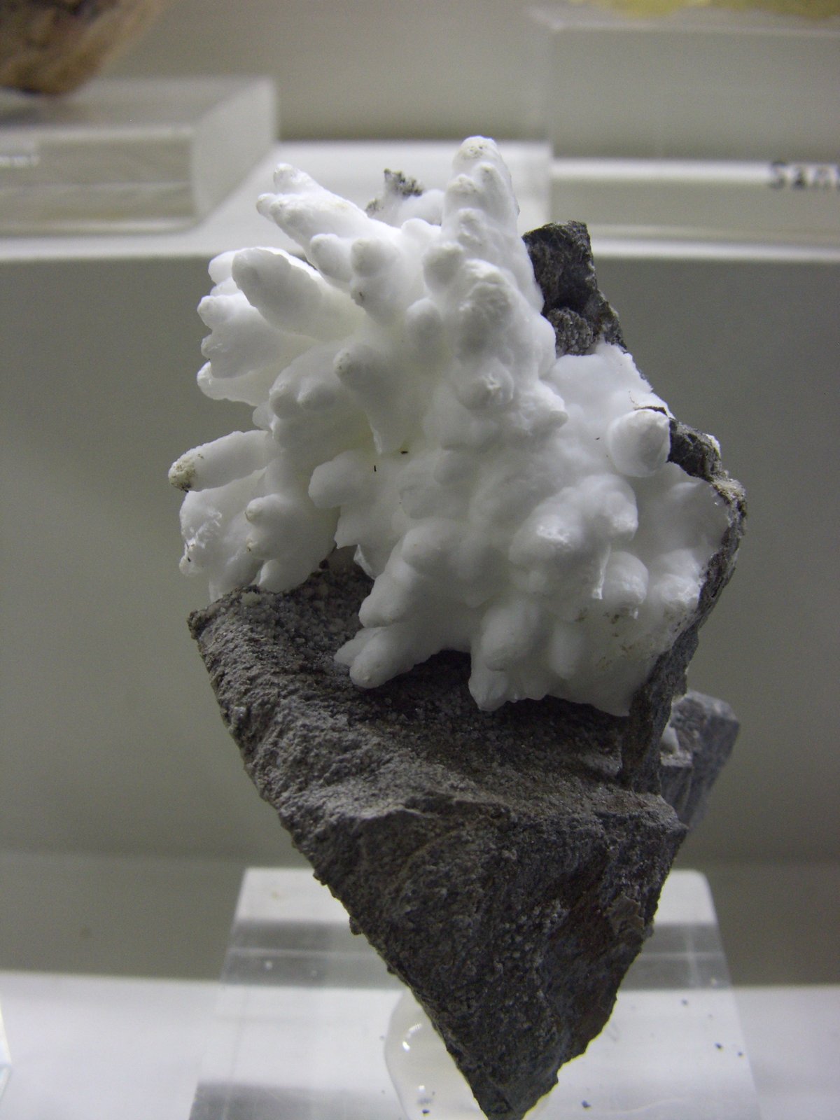 Aragonito
8x5 cm
(Autor: jaume.vilalta)