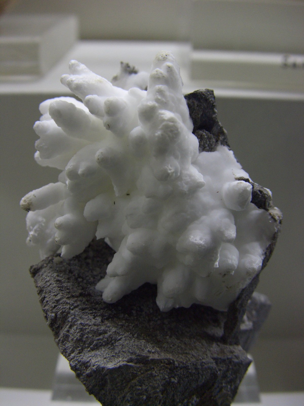 Aragonito
8x5 cm
(Autor: jaume.vilalta)
