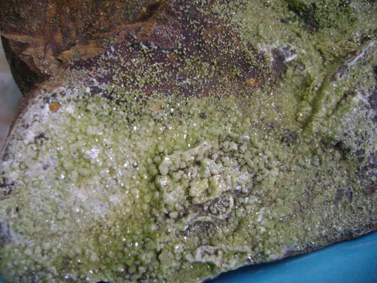 Piromorfita.
13 X 10 X 9 centimetros ,cristales mayores 3 y 4 milimetros.
(Autor: P. apita)