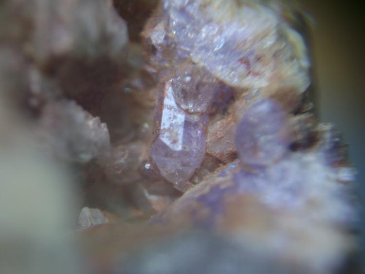 Fluorapatito
Cristal mayor, 7 x 3 milimetros
(Autor: P. apita)