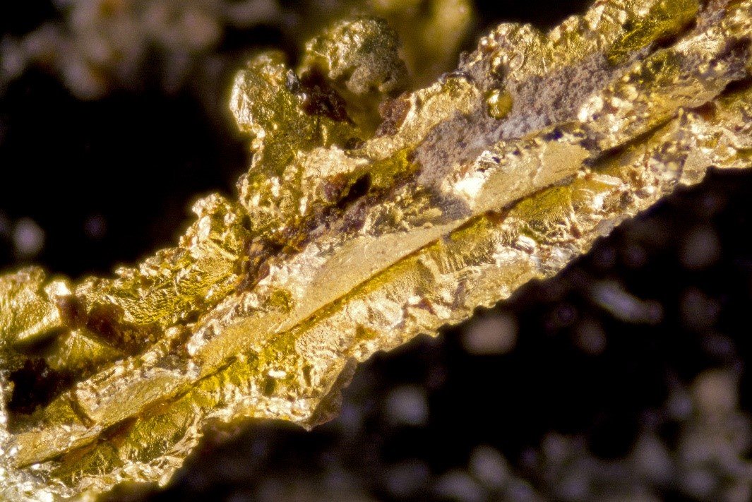 Oro
1.5 mm
(Autor: Cesar M. Salvan)