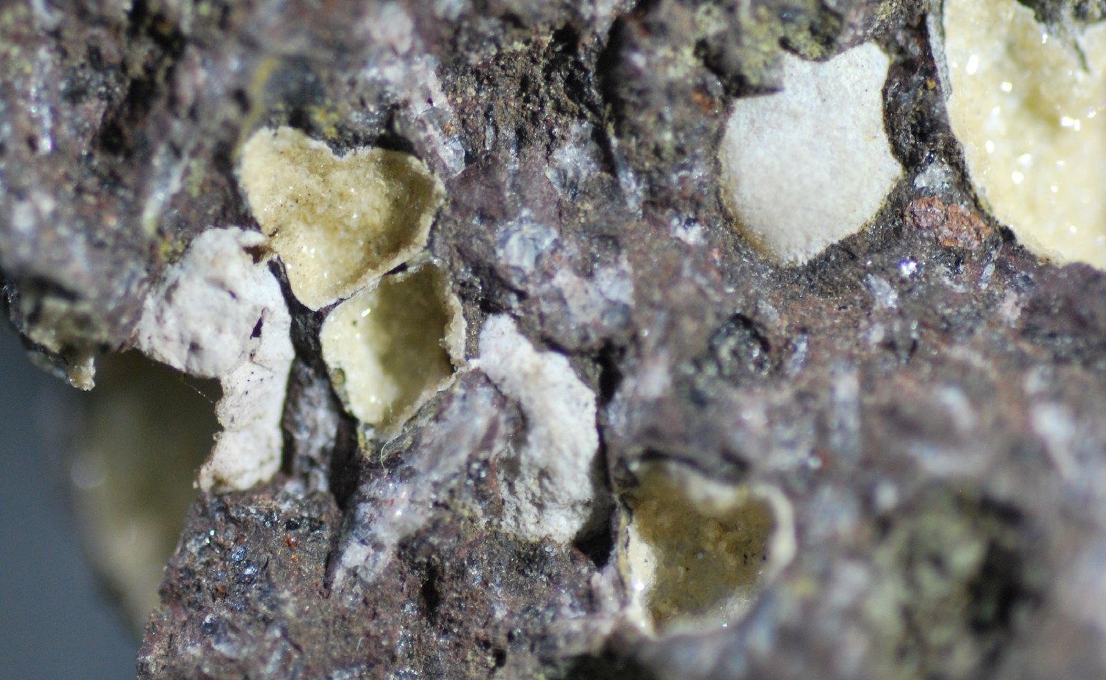 Clinoptilolita
5 x 5 cm. (detalle)
(Autor: Jose Bello)