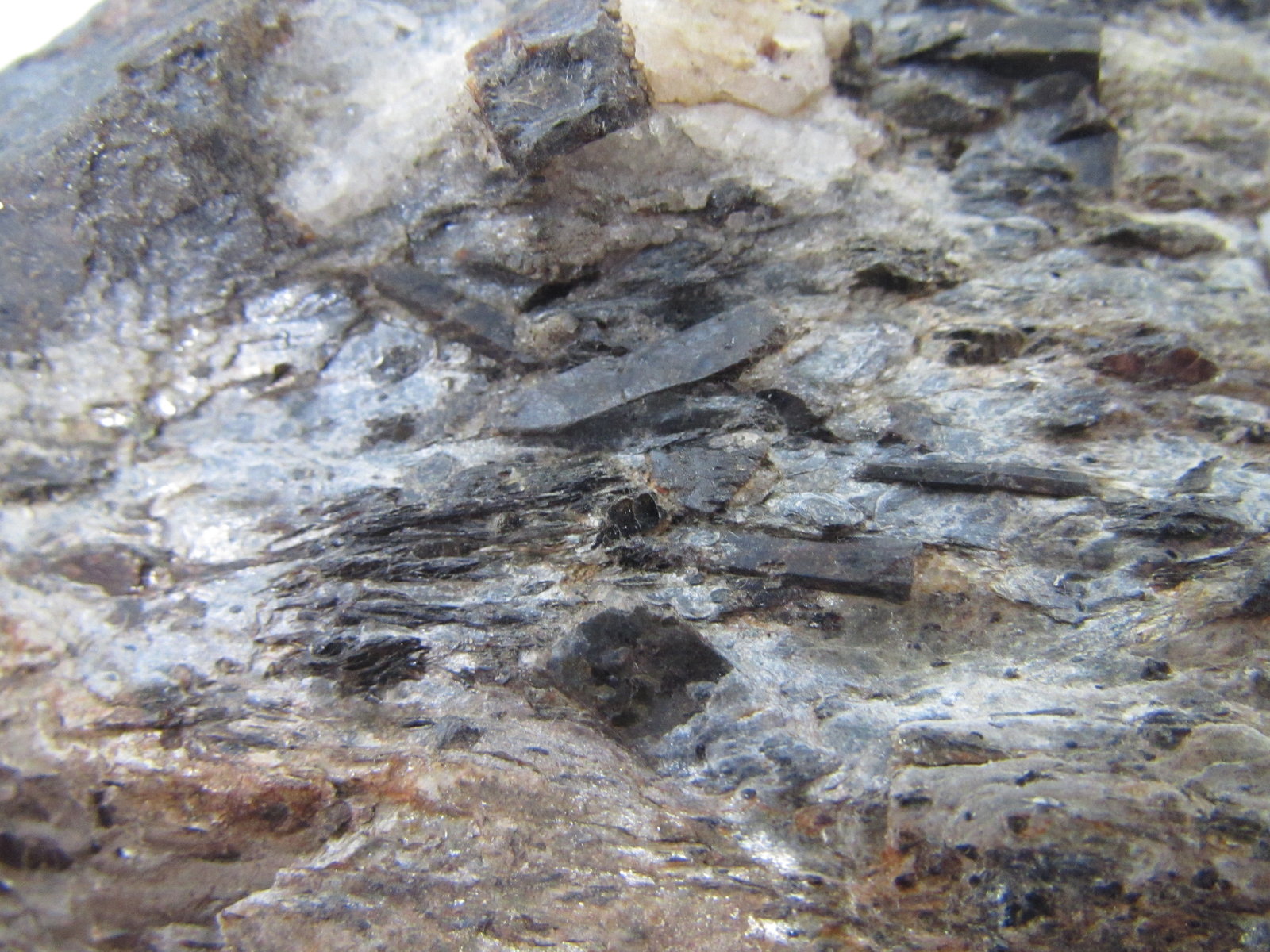 Esquisto con estaurolita
4 cm. ancho de campo
(Autor: prcantos)