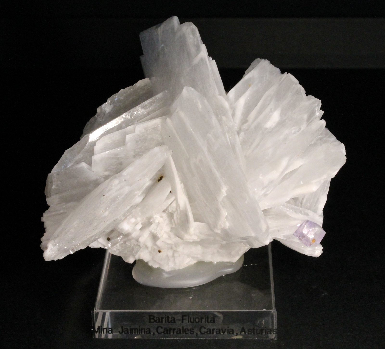 Barita y Fluorita
8 x 6 cm.
(Autor: Darío Menéndez)