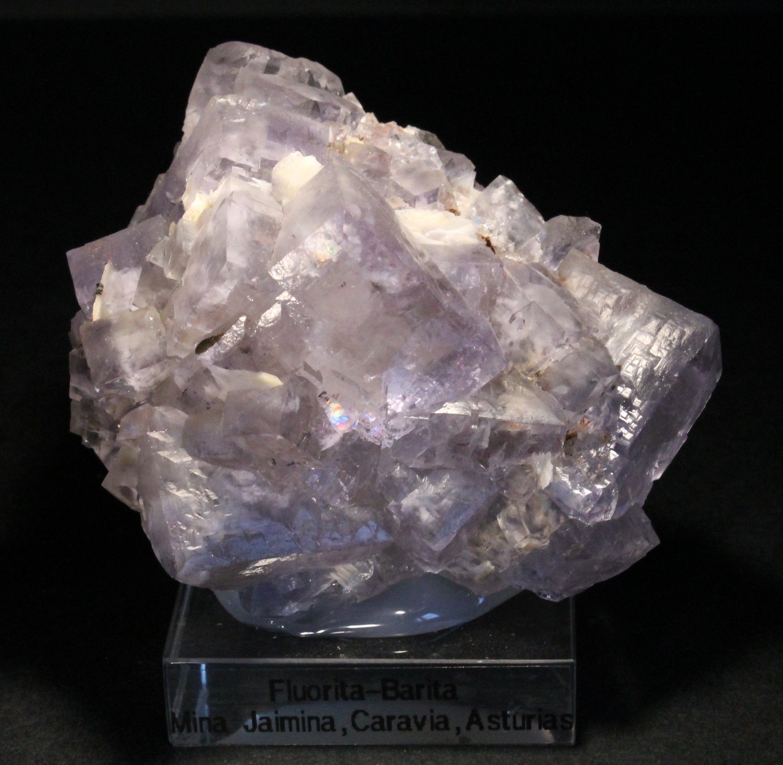 Fluorita y Barita
6 x 5 cm. (Cristal mayor: 2 cm).
(Autor: Darío Menéndez)